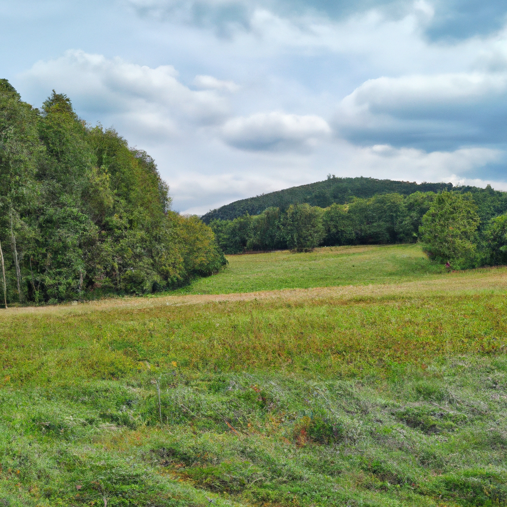 일산오피 추천 가이드와 지역 업체 비교로 예약 전 반드시 확인해야 할 필수 기준 정리 일산오피 추천 가이드 기반으로 지역 업체 비교 방법과 예약 전 확인해야 할 핵심 기준 정리 - 일산오피 추천 가이드와 지역 업체 비교로 예약 전 반드시 확인해야 할 필수 기준 정리